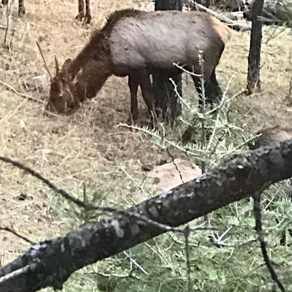 Meet your Posher, Francoise - Picture 1 of 1